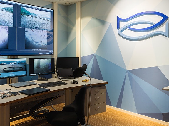 Bilde 2 av 2 i jobbannonse-galleriet