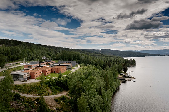 Bilde 1 av 1 i jobbannonse-galleriet