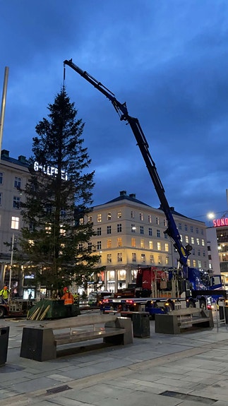 Bilde 5 av 8 i jobbannonse-galleriet