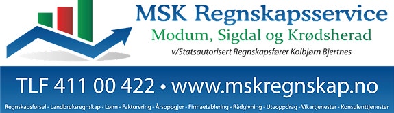 Msk Regnskapsservice Bjertnes logo