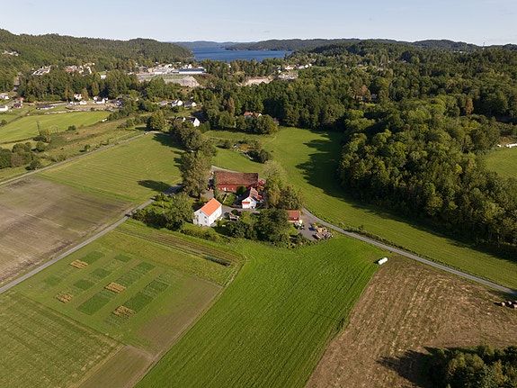 Bilde 2 av 3 i jobbannonse-galleriet