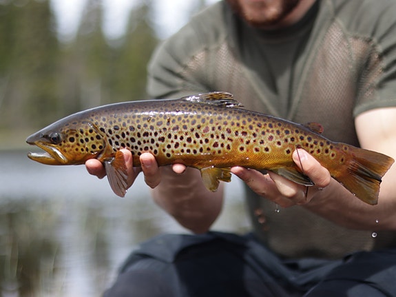 Bilde 3 av 3 i jobbannonse-galleriet