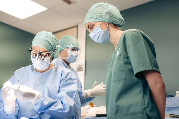 Bilde 1 av 1 i jobbannonse-galleriet