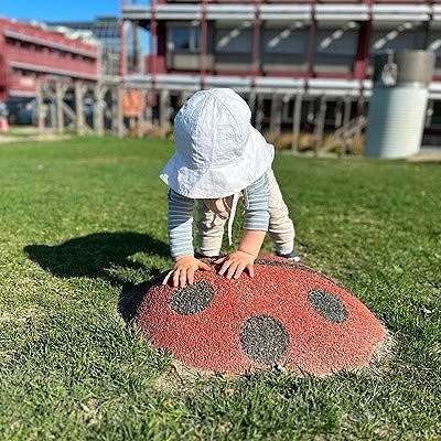Vi har et oppdatert, spennende og lærerikt utemiljø
