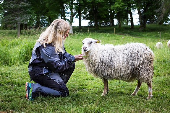 Bilde 3 av 4 i jobbannonse-galleriet