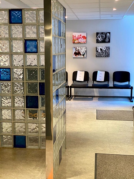 Bilde 2 av 7 i jobbannonse-galleriet