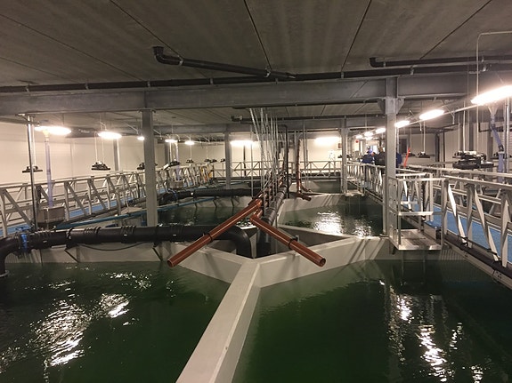 Bilde 4 av 8 i jobbannonse-galleriet