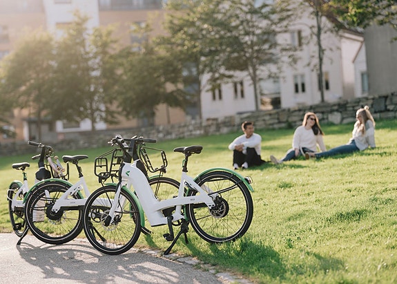 Bilde 1 av 1 i jobbannonse-galleriet