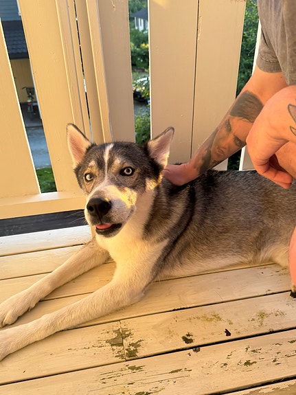 Product image 8 of 10