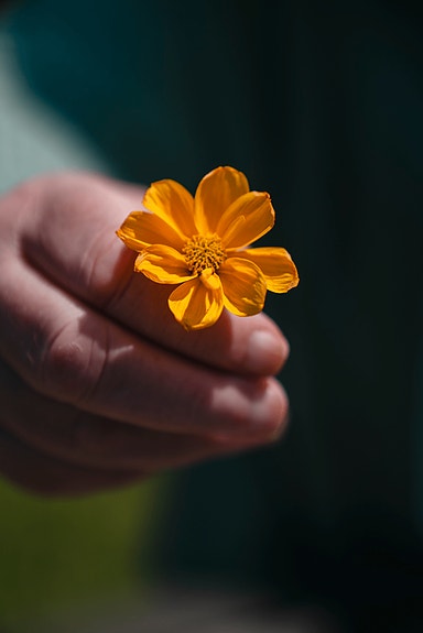 Bilde 1 av 1 i jobbannonse-galleriet