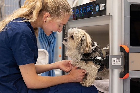 Bilde 2 av 3 i jobbannonse-galleriet