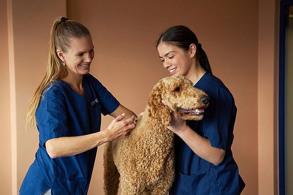 Bilde 3 av 3 i jobbannonse-galleriet