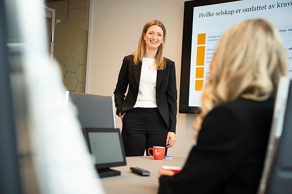 Bilde 1 av 4 i jobbannonse-galleriet