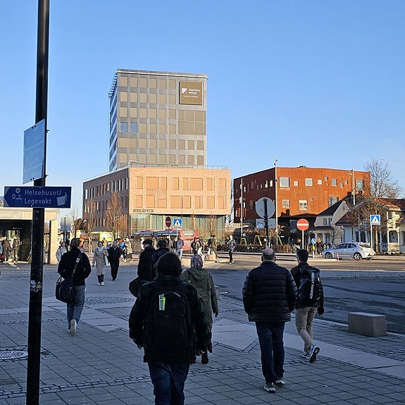 Bilde 5 av 7 i jobbannonse-galleriet