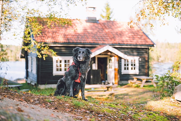 Bilde 3 av 3 i jobbannonse-galleriet