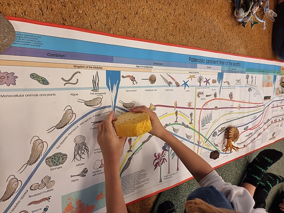 Montessorimateriell: Tidslinjer