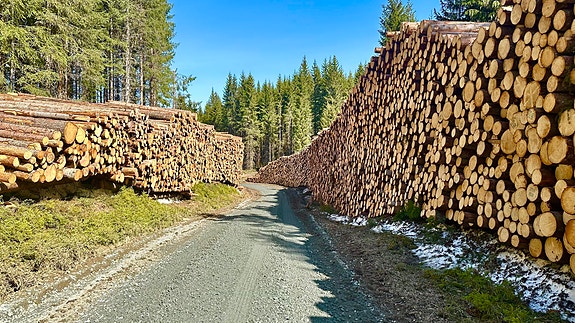 Bilde 1 av 1 i jobbannonse-galleriet