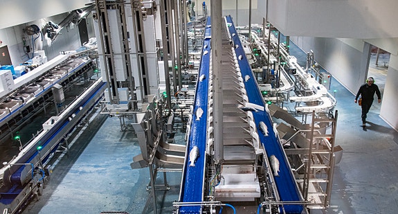 Bilde 4 av 8 i jobbannonse-galleriet