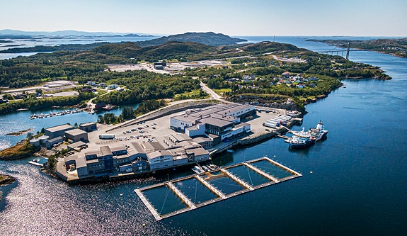 Sinkaberg NT-145 på Marøya i Nærøysund