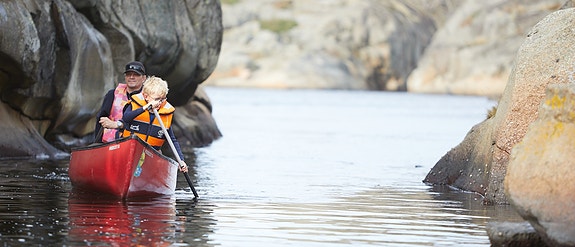 Bilde 1 av 1 i jobbannonse-galleriet