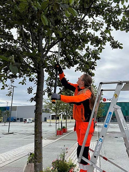 Bilde 5 av 6 i jobbannonse-galleriet