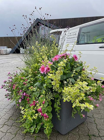 Bilde 4 av 6 i jobbannonse-galleriet