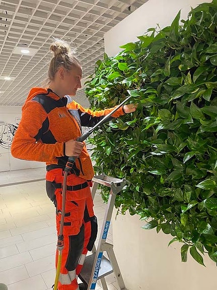 Bilde 3 av 6 i jobbannonse-galleriet