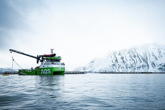 Bilde 1 av 1 i jobbannonse-galleriet