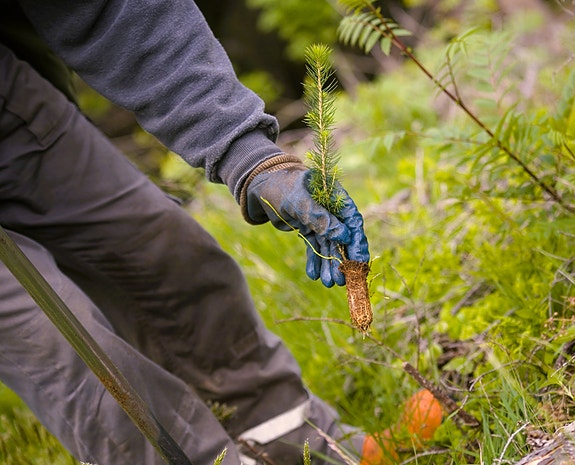 Bilde 3 av 3 i jobbannonse-galleriet