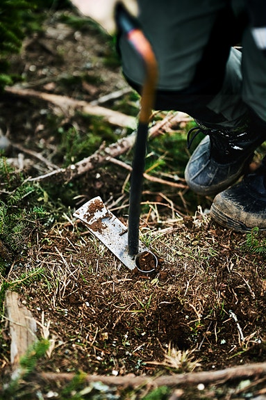 Bilde 1 av 3 i jobbannonse-galleriet