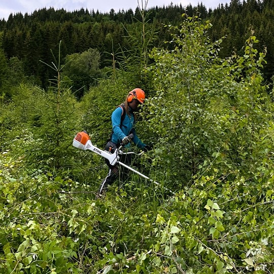 Bilde 2 av 3 i jobbannonse-galleriet