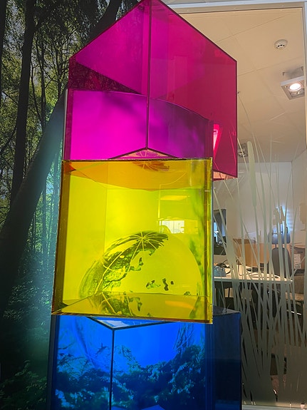 Bilde 3 av 3 i jobbannonse-galleriet