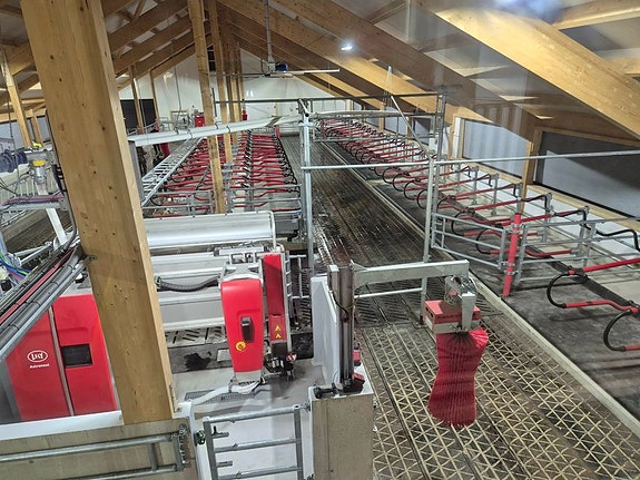 Bilde 4 av 4 i jobbannonse-galleriet