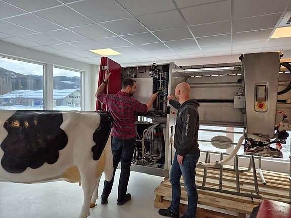 Bilde 2 av 4 i jobbannonse-galleriet