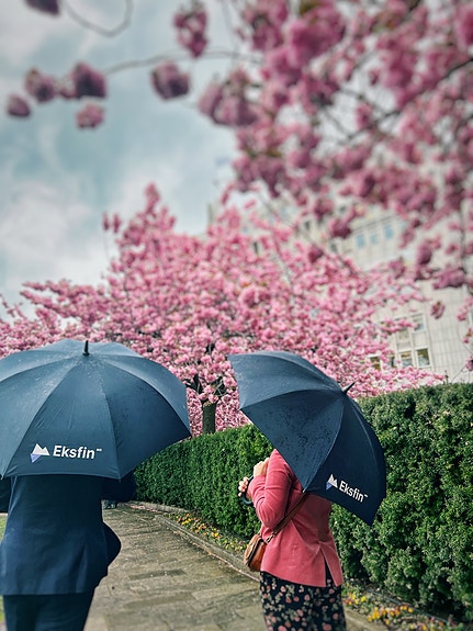 Bilde 4 av 5 i jobbannonse-galleriet