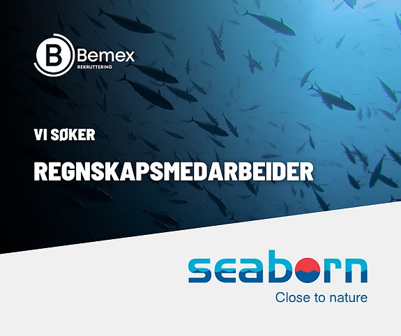 Bilde 1 av 1 i jobbannonse-galleriet