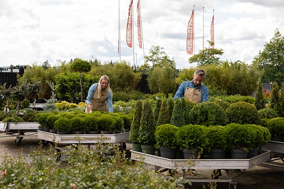 Bilde 1 av 1 i jobbannonse-galleriet