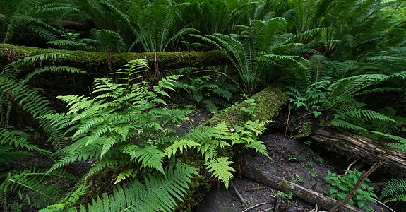 Bilde 6 av 7 i jobbannonse-galleriet