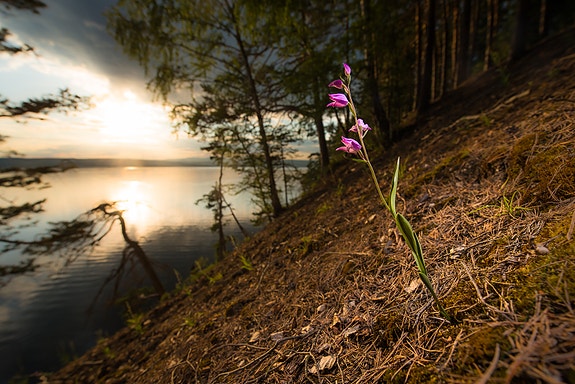 Bilde 1 av 7 i jobbannonse-galleriet