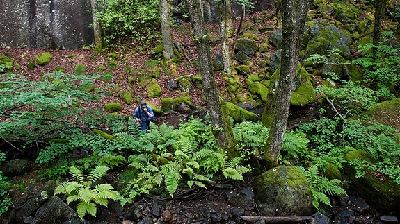 Bilde 3 av 7 i jobbannonse-galleriet