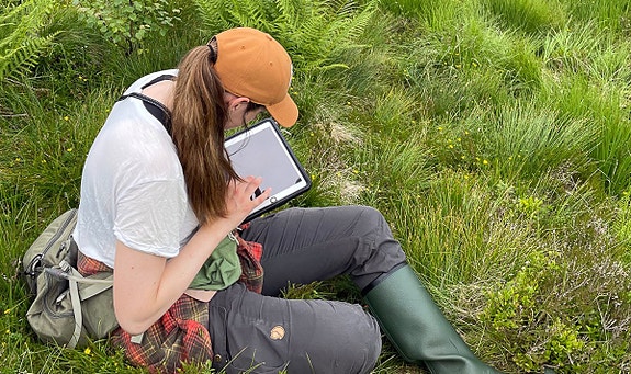 Bilde 4 av 7 i jobbannonse-galleriet