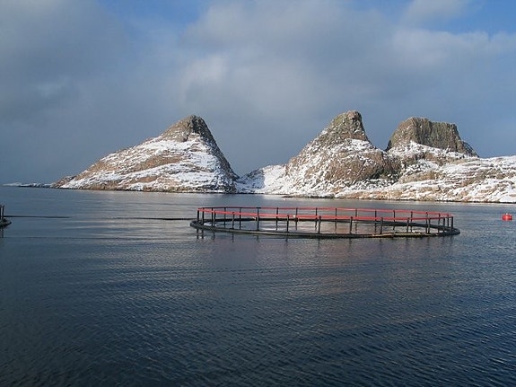 Bilde 3 av 4 i jobbannonse-galleriet