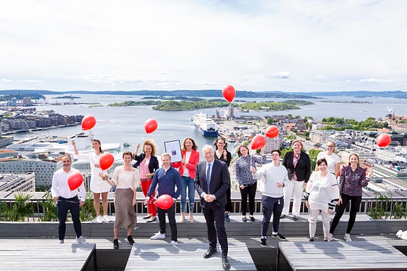 Bilde 2 av 3 i jobbannonse-galleriet