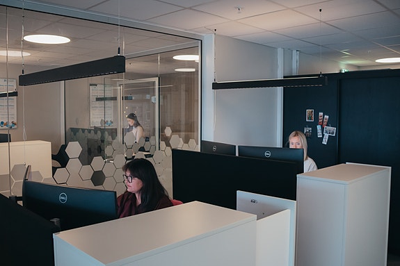 Bilde 4 av 5 i jobbannonse-galleriet