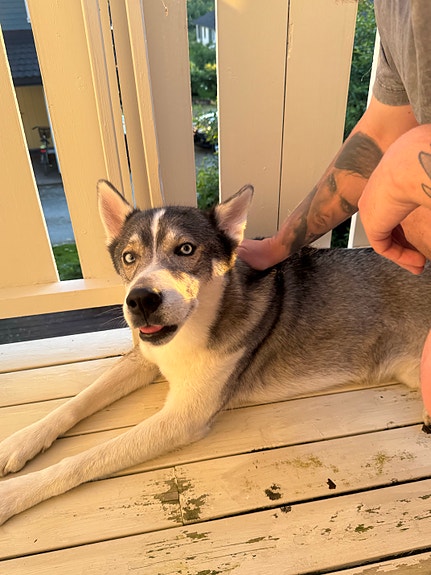 Product image 7 of 10