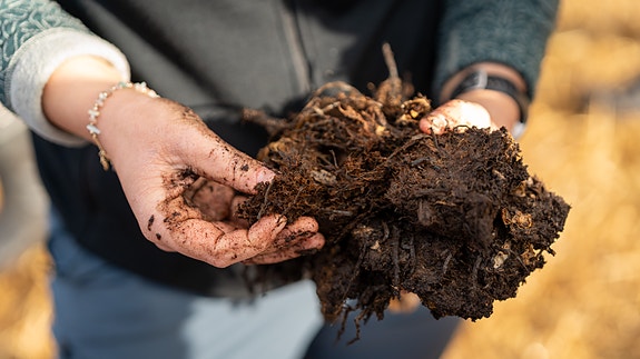 Ole-André Lagmandokk / Universitetet i Innlandet