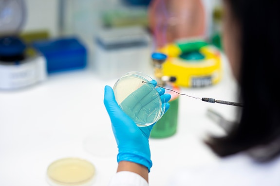 Lars Martin Bøe / Universitetet i Innlandet