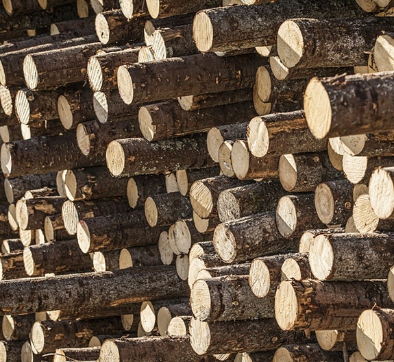 Bilde 2 av 5 i jobbannonse-galleriet