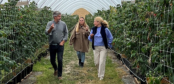 Bilde 1 av 1 i jobbannonse-galleriet