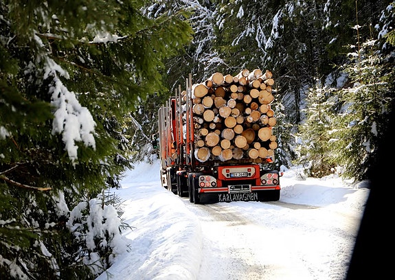 Bilde 3 av 7 i jobbannonse-galleriet